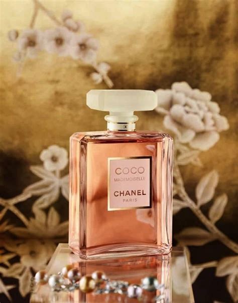 nước hoa coco chanel 50ml|chanel coco mademoiselle.